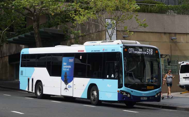 Sydney Buses Volvo B7RLE Custom CB80 2836